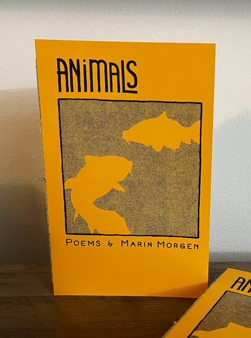 A zine titled Animals, with an illustration of koi fish swimming gently in still water