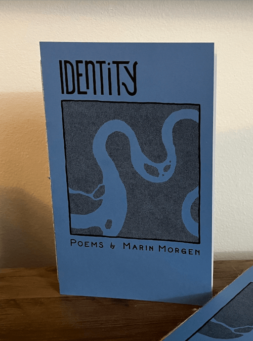 A zine (short pamphlet) titled Identity, with an illustration of a meandering river
